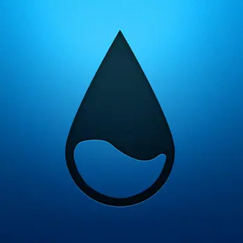 Rainmeter icon